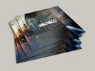 Belterz - Vinyl
