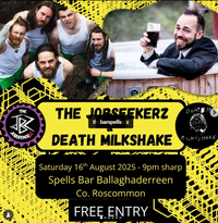 The Jobseekerz & Death Milkshake - Live in Spells Bar, Ballaghaderreen