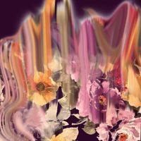 LP by Levi Pickett