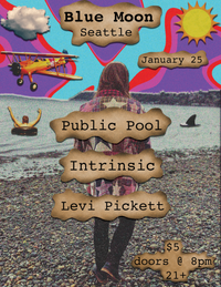 Levi Pickett w/ Public Pool, Intrinsic