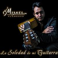 La Soledad de mi Guitarra by Misael - Flamenco Guitar