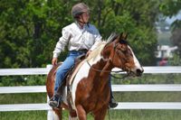 Basics of Cowboy Obstacles