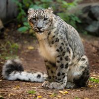 Edmonton Valley Zoo
