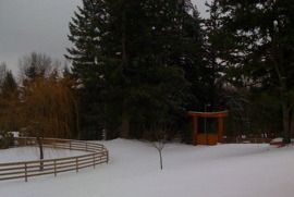 Bent Fencing in Winter
