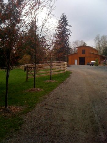 Fencing must flow & work as a frame for the property
