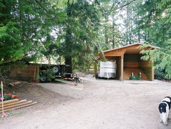 Shavings Shed neatly tucked away
