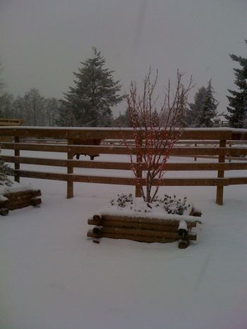 Fencing for all seasons

