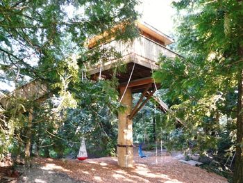 Giant Treehouse
