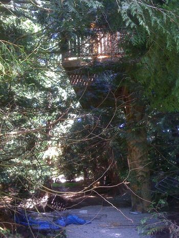 Treehouse

