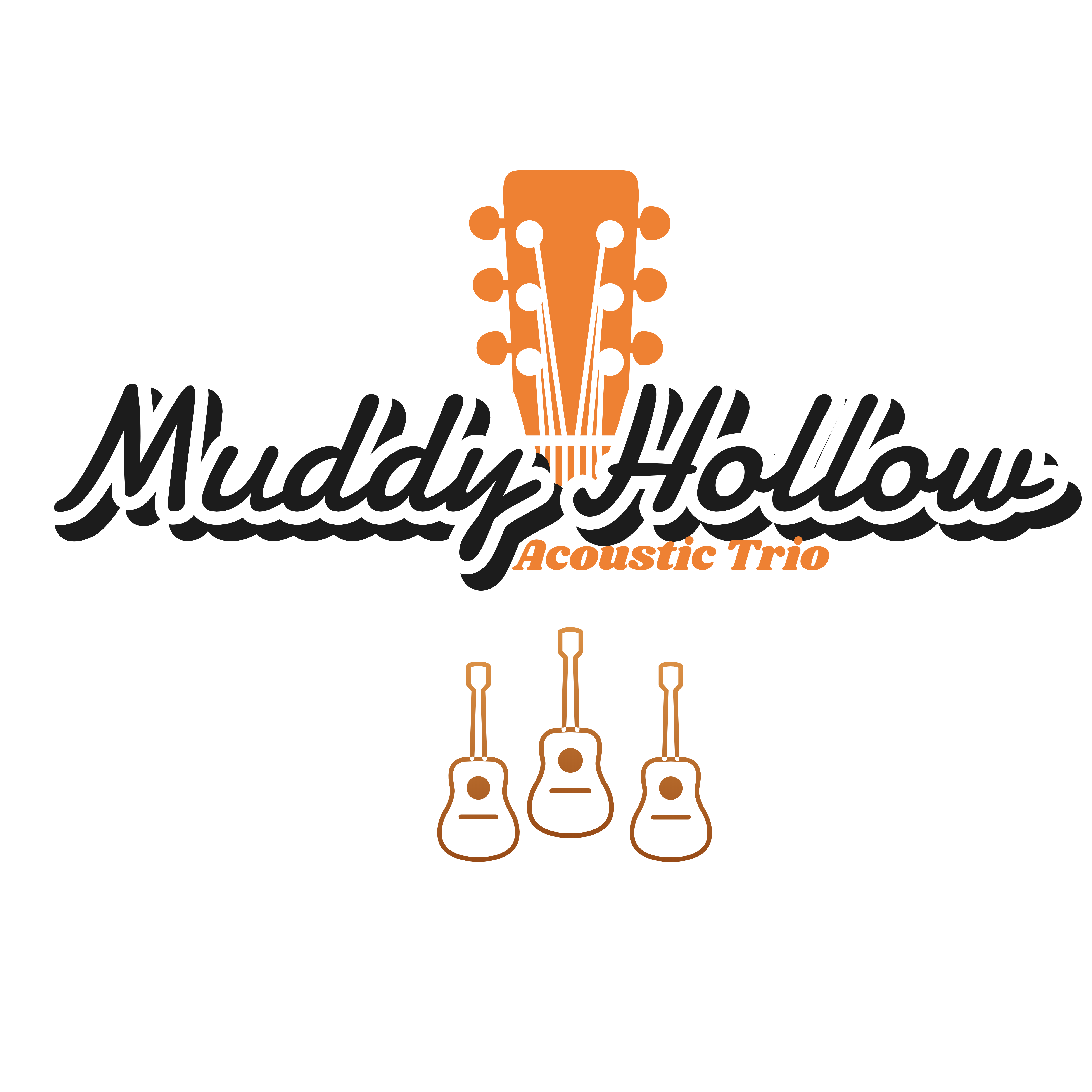Muddy Hollow Band