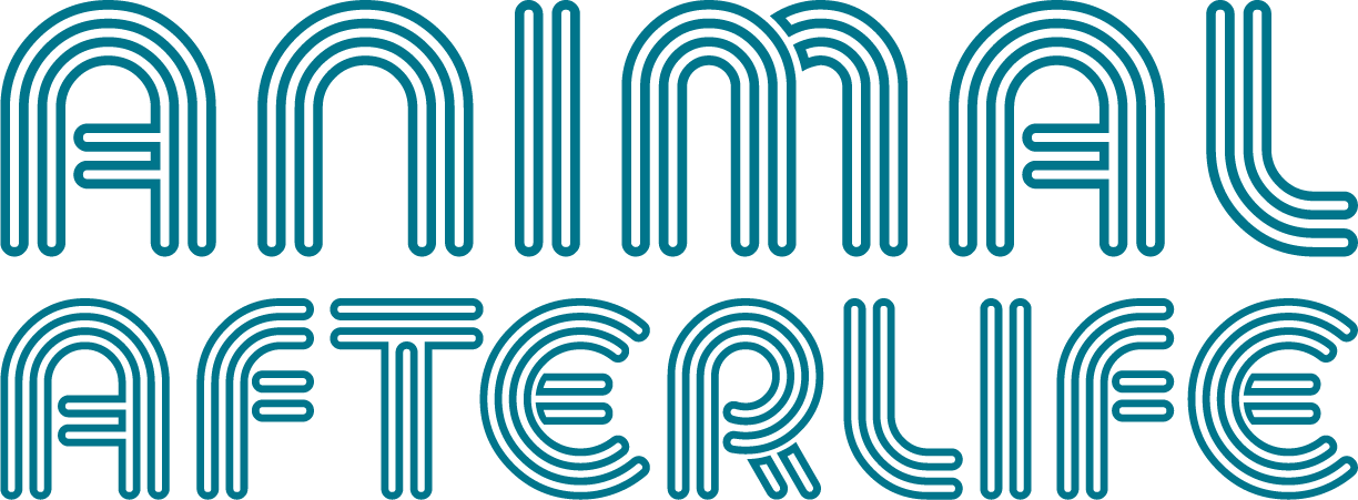 Animal Afterlife