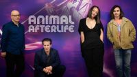 Animal Afterlife at Silvana