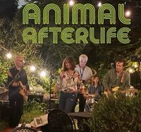 Animal Afterlife