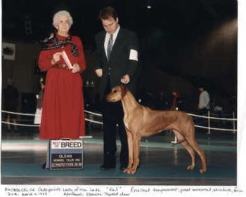 Am Ch/MBISS Can Ch Cedarpoints Lady of the Lake "Kali"
