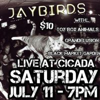 Jaybirds FULL BAND at Cicada