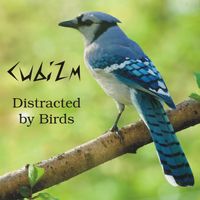 Distracted By Birds by CubiZm