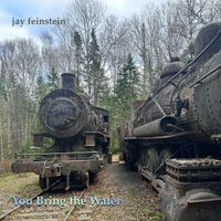 You Bring the Water by Jay Feinstein