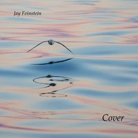Cover by Jay Feinstein