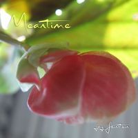 Meantime by Jay Feinstein