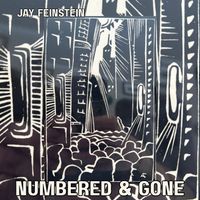 Numbered & Gone by Jay Feinstein
