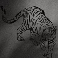 Last Dance with STEVEN LETIGRE