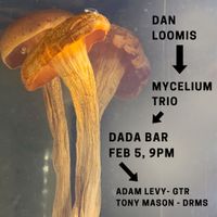Dan Loomis's Mycelium Trio
