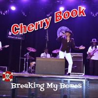 Breaking My Bones by Cherry Book