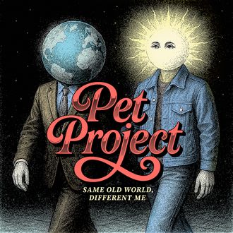 Pet Project Same Old World Different Me album cover
