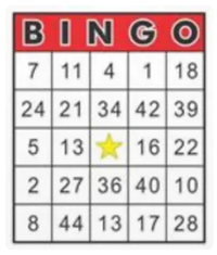 Bingo