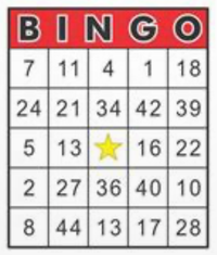 Bingo