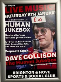 Dave Collison - The Human Jukebox