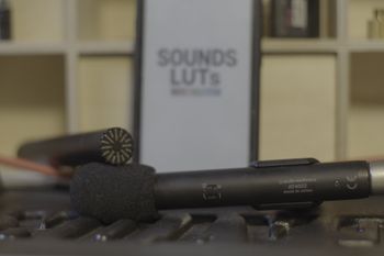 Audio Technica AT4022 Omni Mics x2
