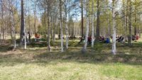 Picnic-konsert med Indigorado ***nytt datum***