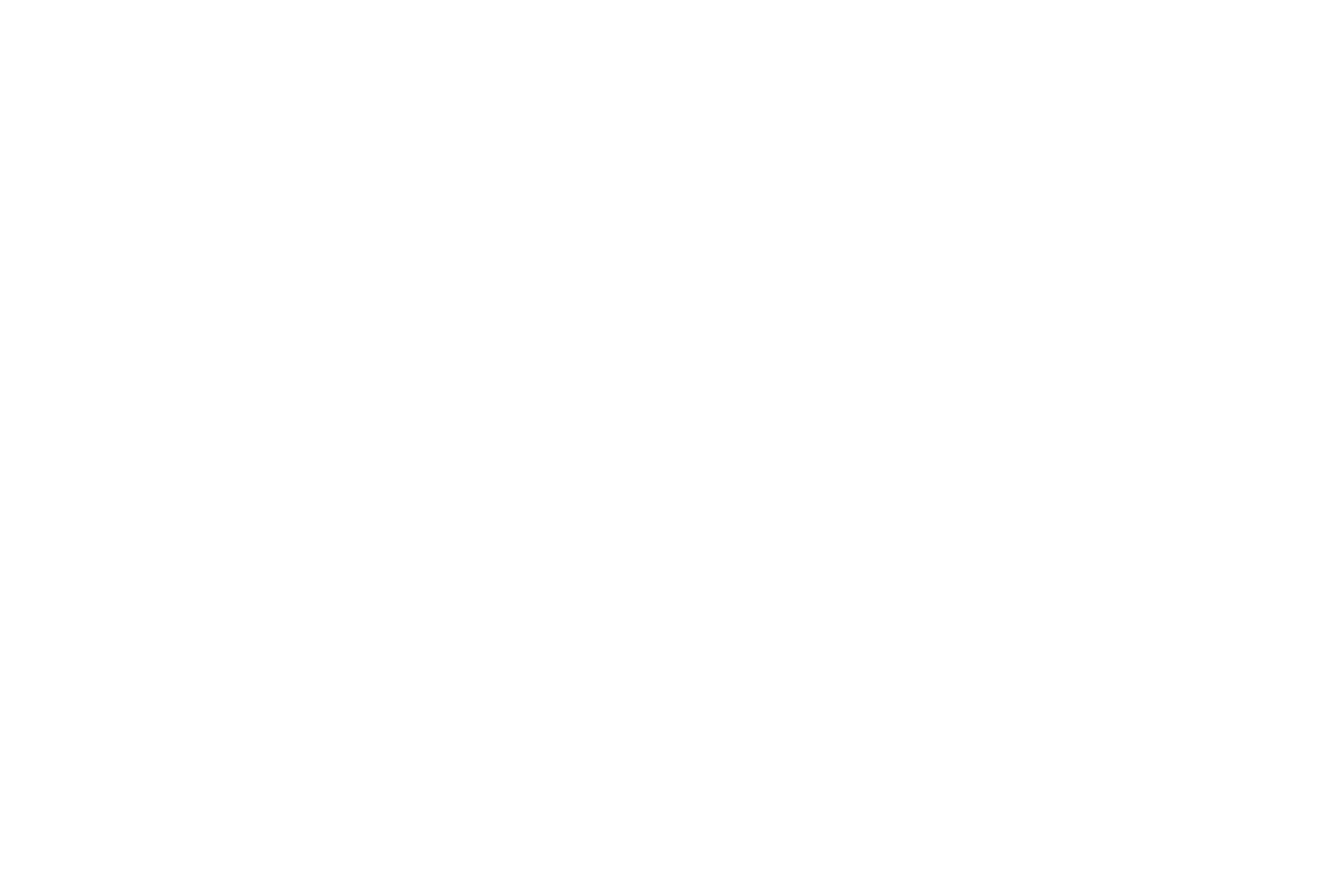 MAJAVYBE