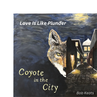 Love Is Like Plunder by Bob Keats