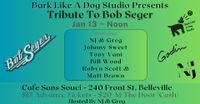Bob Seger Tribute 