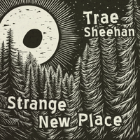 Strange New Place by Trae Sheehan