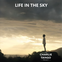 Life In The Sky by The Charlie Tango Project