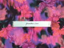 Grandma Love - Grandma Love - Cassette