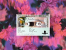 Grandma Love - Grandma Love - Cassette