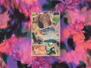 Grandma Love - Grandma Love - Cassette