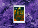 Signal - Cassette