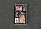 Decomposition: Fox on a Highway - Cassette