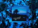 Transcoastal Night Drive - CD