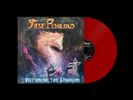 Becoming the Dragon - Vinyl