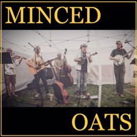 Salt Spring by Minced Oats