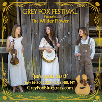 2025 Grey Fox Bluegrass Festival 