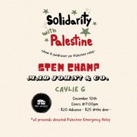 Solidarity with Palestine 