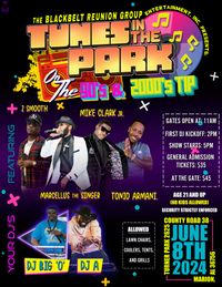 Tunes in the Park (On the 90's and 2000's Tip)