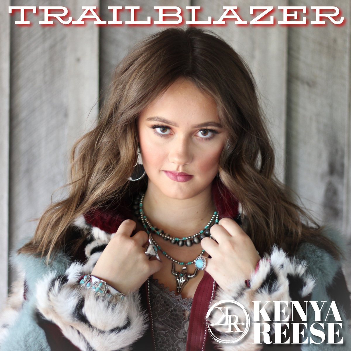 Trailblazer - Vinyl